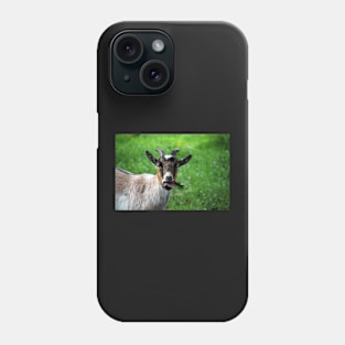 Ireland Goat Phone Case