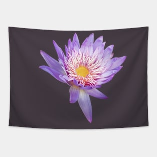 Nymphaea Stellata or Star Lotus Flower. Flower Art Tapestry