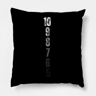 Funny Anesthesiologist  Anesthetics Gift Idea Anesthesiologists & Doctors Countdown Pillow