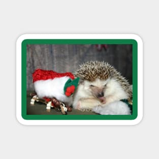 Christmas Hedgehog Magnet