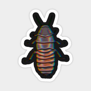 Chromatic madagascar hissing cockroach (Gromphadorhina portentosa) Magnet