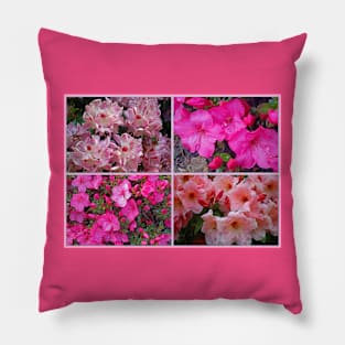 An Assembly of Azaleas Pillow