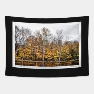 Roadway Reflection Tapestry