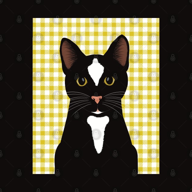 Hey! What are you doing? The Cute Black tuxedo cat is watching you. by marina63