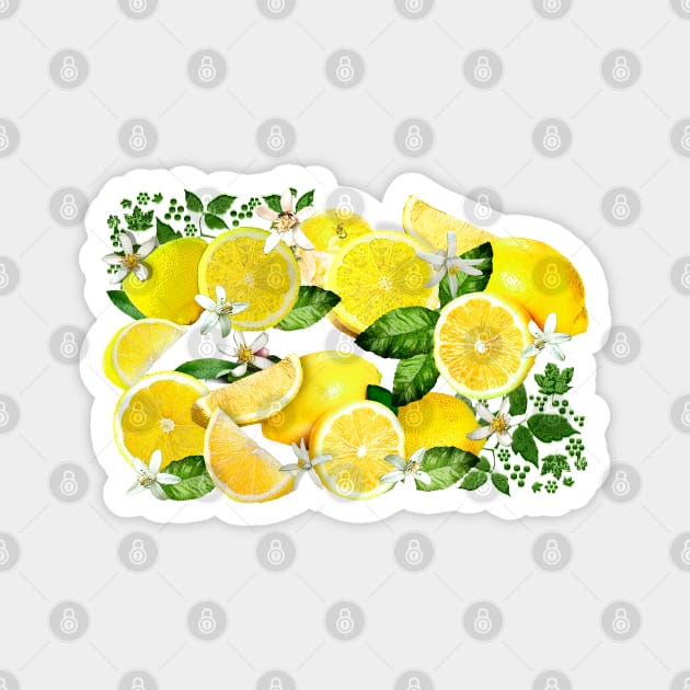 Acid Lemons from Calabria Magnet by PrivateVices
