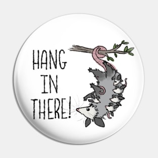 Hang In There! Pin