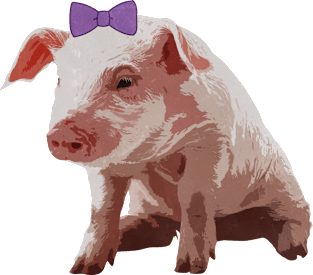 Cute Bow Southern Preppy Pig Magnet