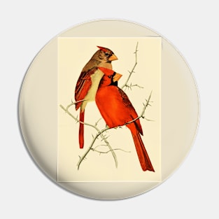 The Cardinals Pin