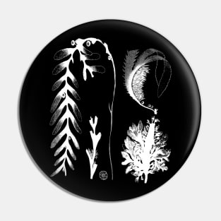 Botanical Seaweed Kelp Pin