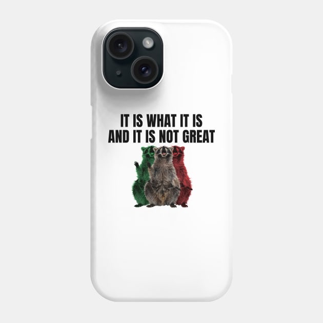 It Is What It Is And It Is Not Great Phone Case by badCasperTess