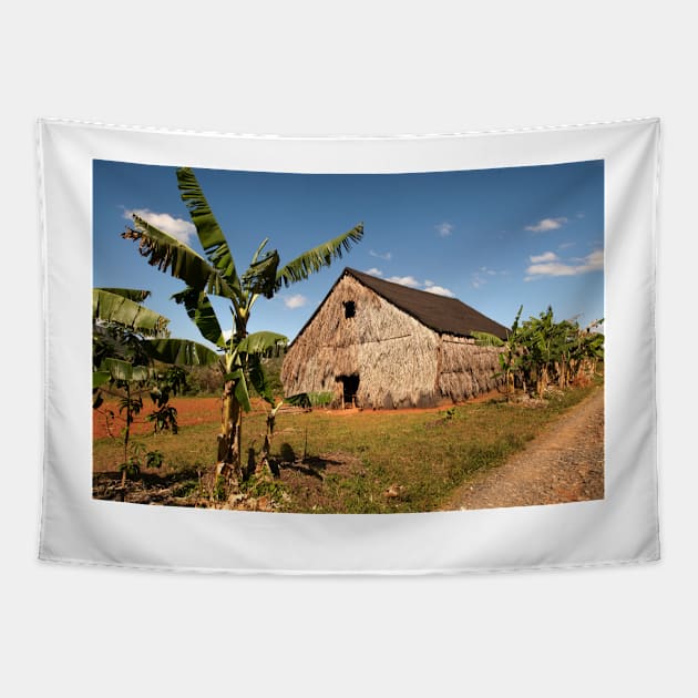 Tobacco house near Vinales in Cuba Tapestry by Offiinhoki