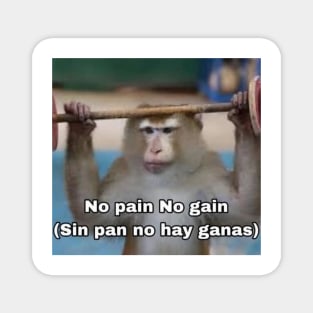 No Pain No Gain Worst Translation Ever Magnet