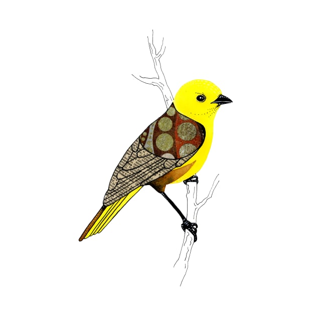 Mohua / Yellowhead Bird by scatterlings