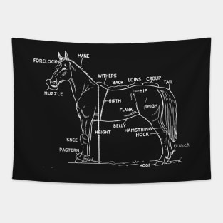 Horse anatomy Tapestry