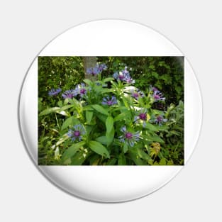 cornflower Pin