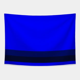 A scarce amalgam of Sky Blue, Primary Blue, Dark Imperial Blue and Cetacean Blue stripes. Tapestry