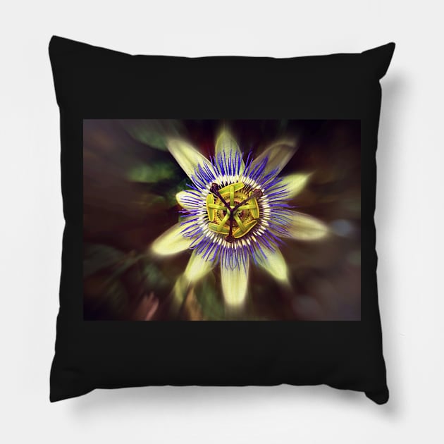 Passiflora Pillow by AlexaZari