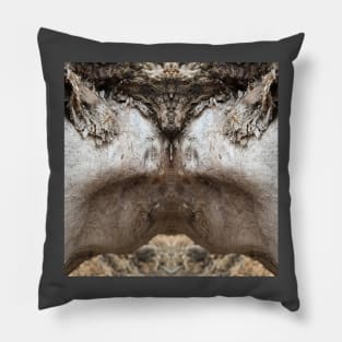 Love Shaman Pillow