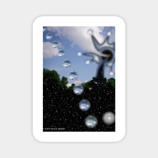 Passing Thru The Forest Of Stars Magnet