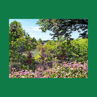 Niagara Falls, NY - Wildflowers on Three Sisters Islands T-Shirt