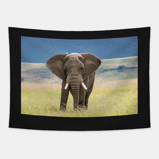 Elephant, Ngorongoro Crater, Tanzania Tapestry by AndrewGoodall