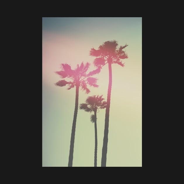 Californian Palm Trees by hraunphoto