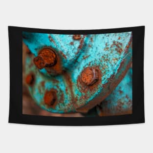 Rusty And Blue photography Tapestry