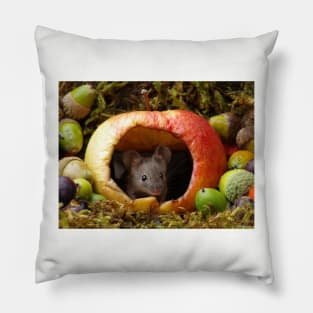 wild house mouse  in a apple Pillow