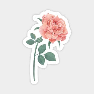 A Simple Rose Magnet