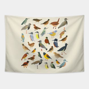 Great collection of birds illustrations Tapestry