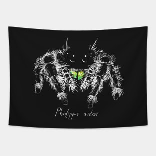 Phidippus audax Tapestry