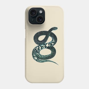 serpent,cobra,reptile,viper,venom,lizard,rattlesnake,king cobra Phone Case