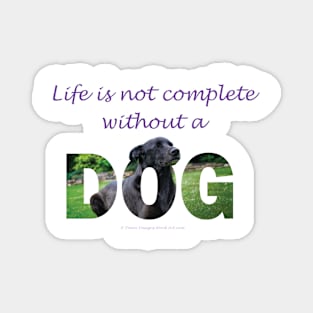 Life is not complete without a dog - black labrador oil painting word art Magnet