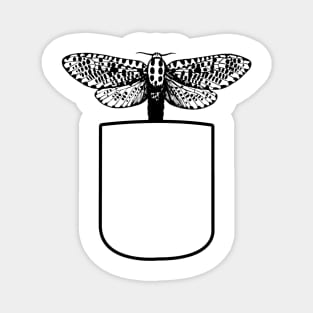 Pocket Moth Magnet