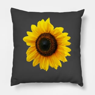 Sunflower Pillow