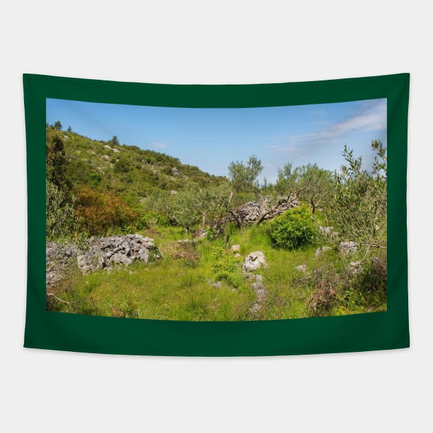 Landscape Near Nerezisca, Brac Island, Croatia Tapestry by jojobob