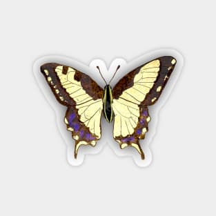 Bugs-8 Papilio Machaon Magnet