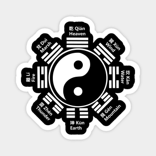 Tai Chi Yin Yang Zen Taoism Chinese Characters Magnet