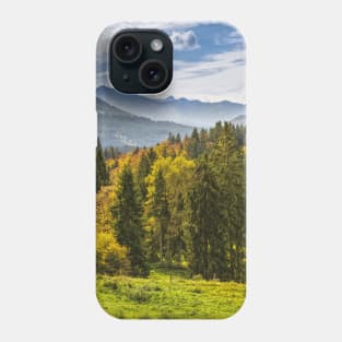 SCENERY 87 - Mountainous Landform Forest Nature Ecosystem Phone Case