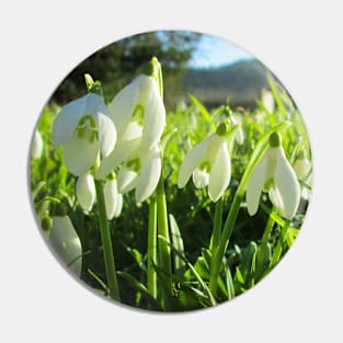 Snowdrops in the Sunshine Pin