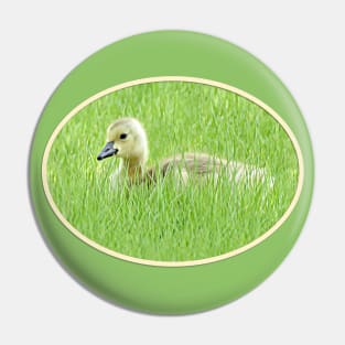 One Gosling No.q Pin