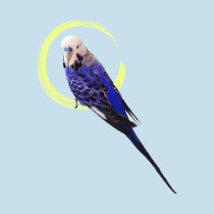 Blue budgie T-Shirt