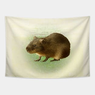 Greater guinea pig Tapestry