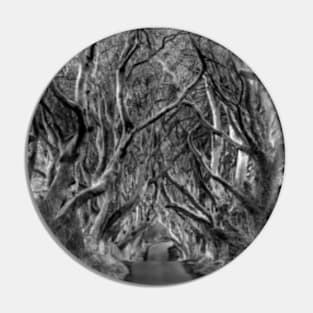 Avenue of trees Pin