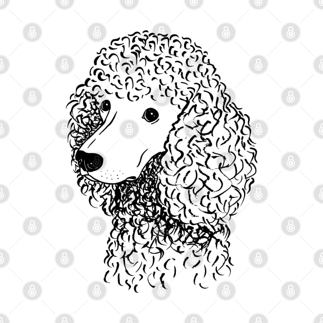 Poodle (Black and White) by illucalliart