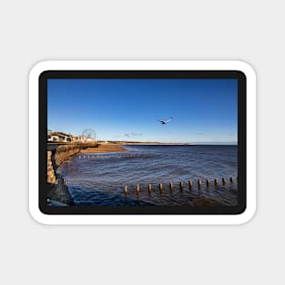 Bridlington Magnet