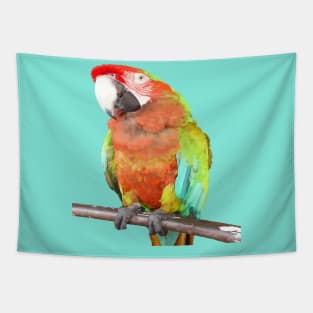 Stunning Harlequin Macaw On A Perch Vector Art Tapestry