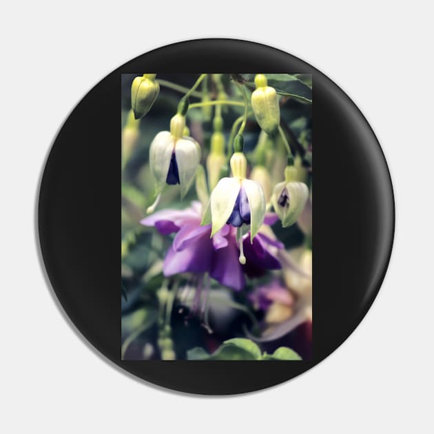 Purple Fuchsia Flowers Pin by InspiraImage