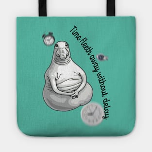 Time fleeth away without delay Tote