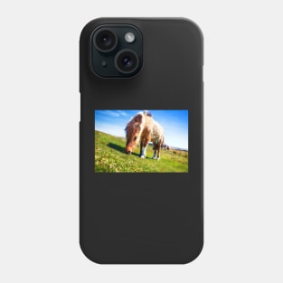 Dartmoor Ponies, Devon, UK Phone Case